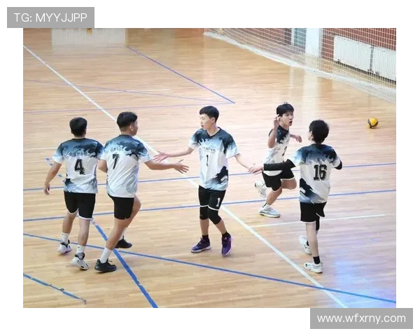 武汉排球队的团队协作与默契配合的深度探讨与分析